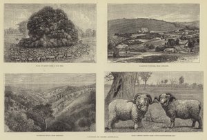 Afbeeldingen van Zuid-Australië